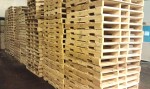 Pallets - Wood - Sorted Pallets - Wood - Sorted